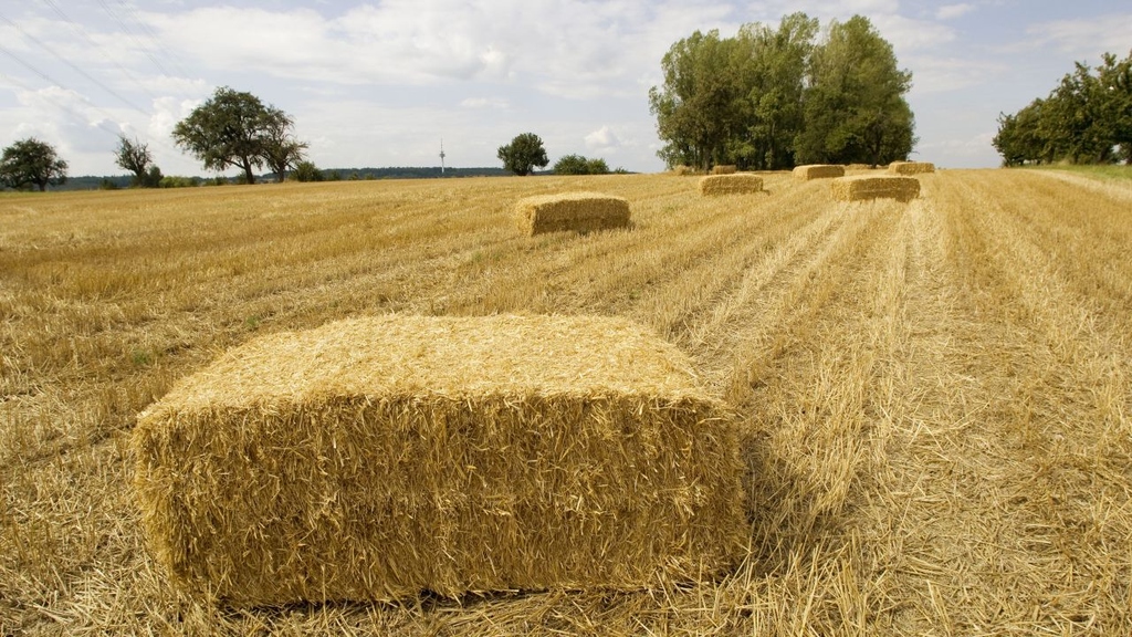 In the future, straw and other agricultural residues might be converted into materials and energy carriers directly on the farm. (Photo: KIT) 