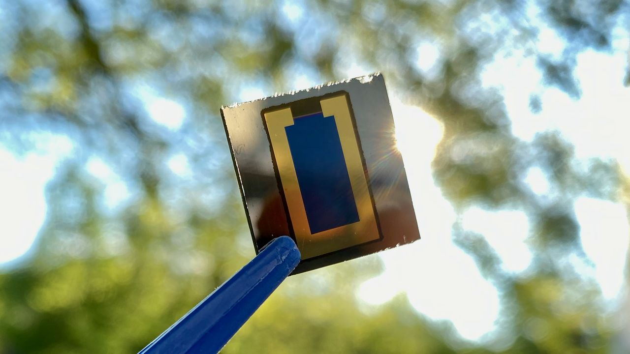 Marco A. Ruiz-Preciado, KIT Perowskit/CIS-Tandem-Solarzellen wandeln bereits jetzt einen relativ großen Anteil des einfallenden Lichts in Strom um. Zukünftige Entwicklungen können den Wirkungsgrad weiter verbessern. (Foto: Marco A. Ruiz-Preciado, KIT)