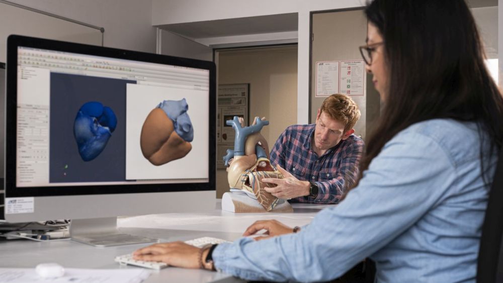 Eine Wissenschaftlerin arbeitet am Computer mit einem 3D-Herzmodell und ein Wissenschaftler hält ein anatomisches Herzmodell.