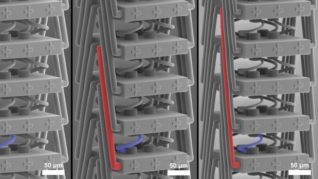 Material mit neuartigen Dehnungseigenschaften entwickelt