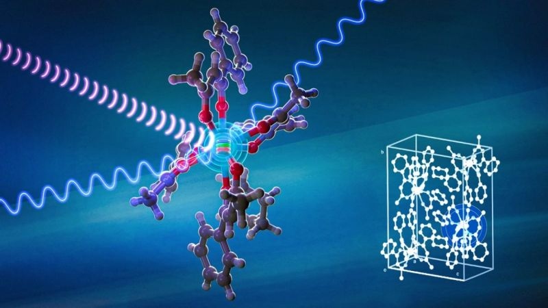 Advances in Quantum Technologies: Optical Control of Nuclear Spins in Molecules