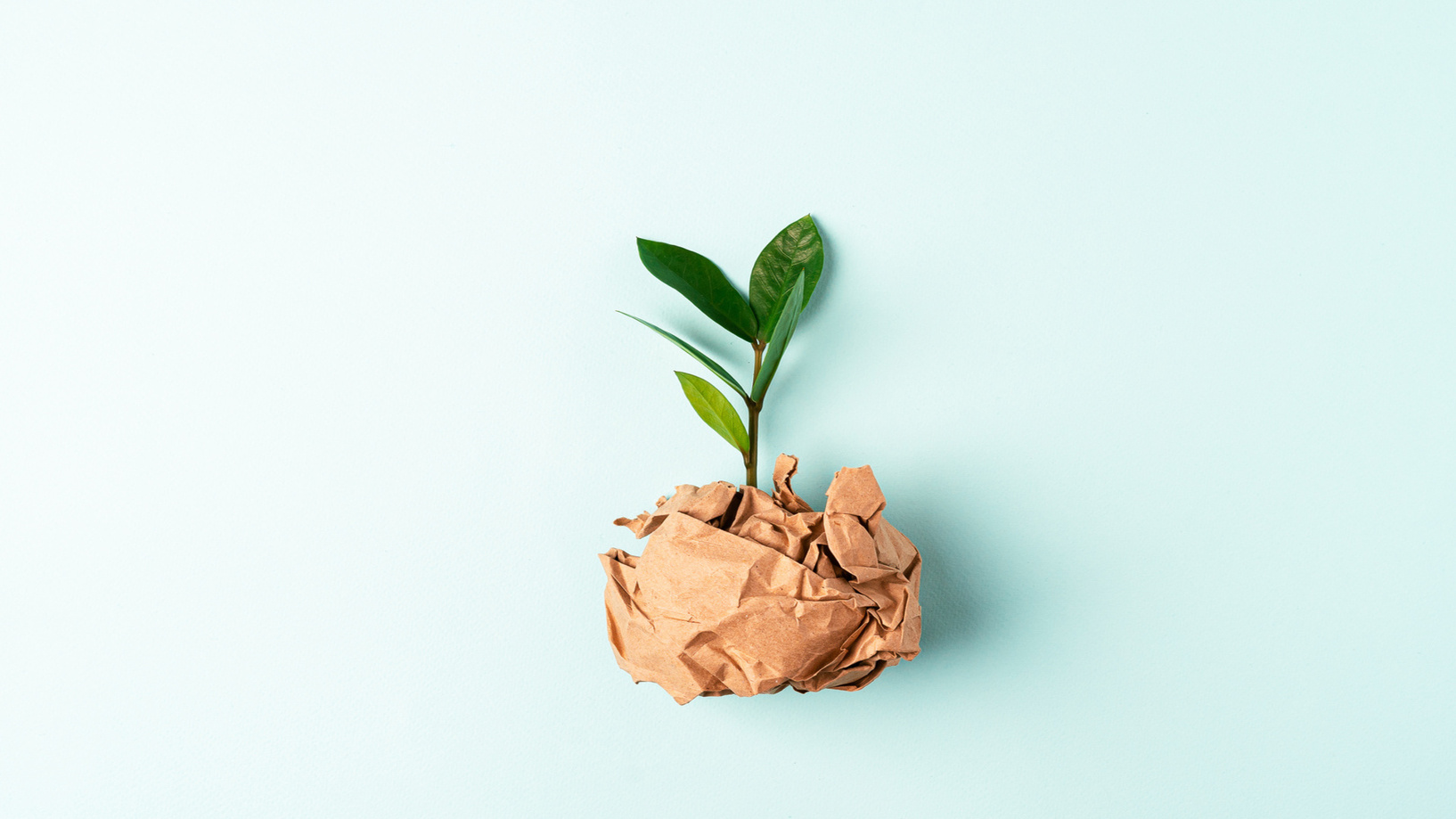 AdobeStock Grüner Keimling aus braunem Papier, auf blauem Hintergrund.