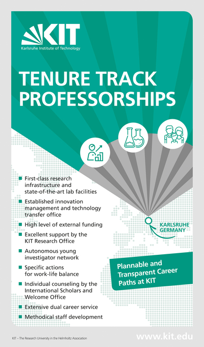 Flyer Tenure Track Professorship for Download (PDF)