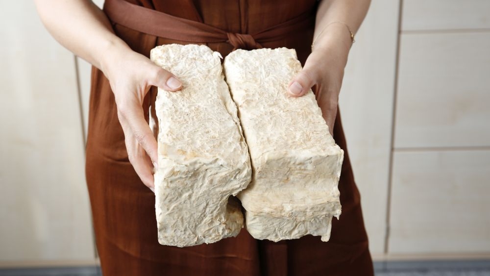 Fungi as a Building Material: KIT Examines Innovative Materials