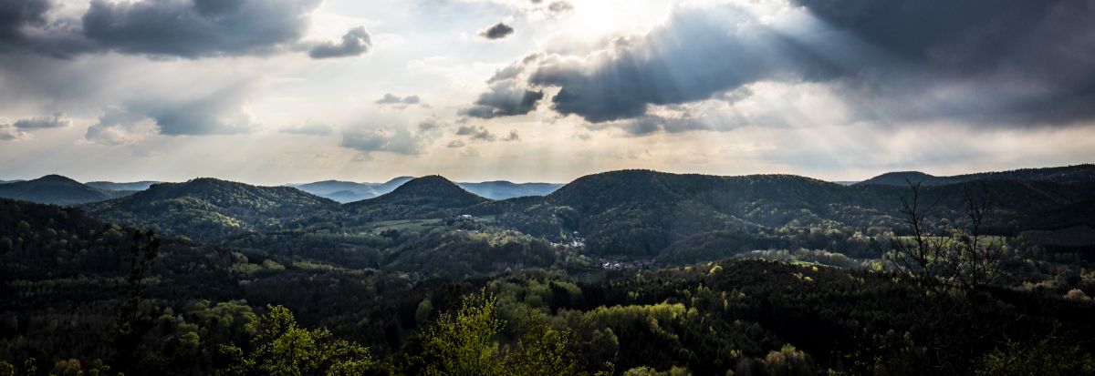 Natur und Umgebung in Rheinland-Pfalz.