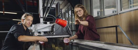 Ein Dozent und eine Studentin werfen Plastikbecher in eine Wasserrinne, um deren Verhalten in Fließgewässern zu testen.