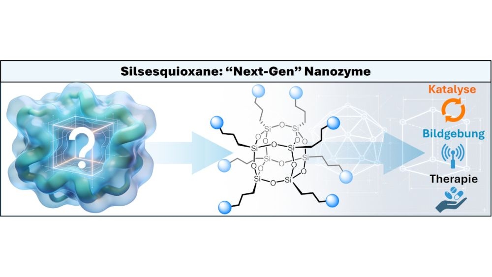 Nanozyme wirken in Krebszellen