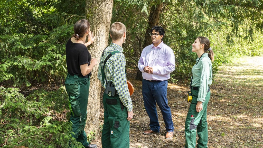 Städtische und stadtnahe Wälder: Mehr Resilienz für die grünen Lungen